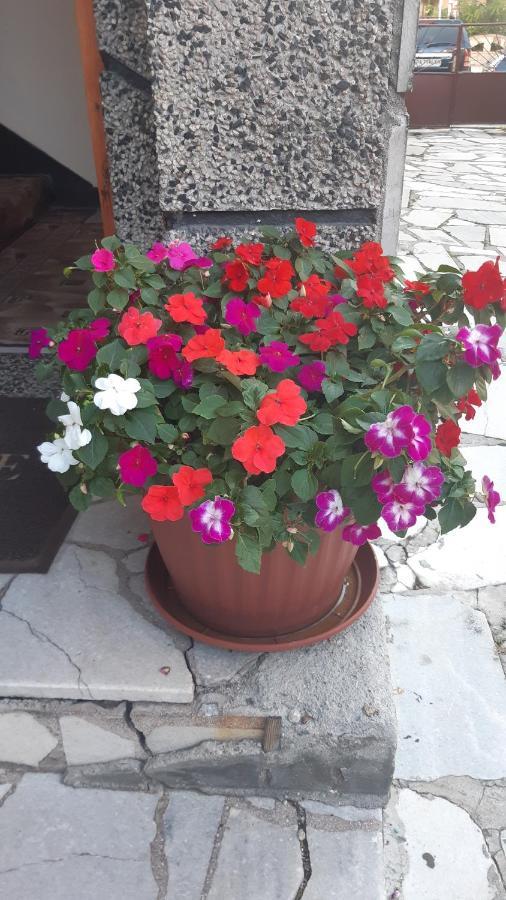 Guest House Pip Velingrad Buitenkant foto