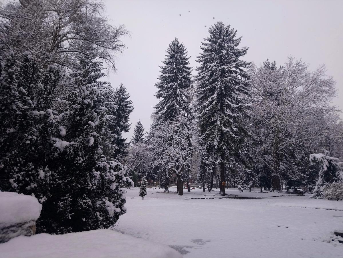 Guest House Pip Velingrad Buitenkant foto